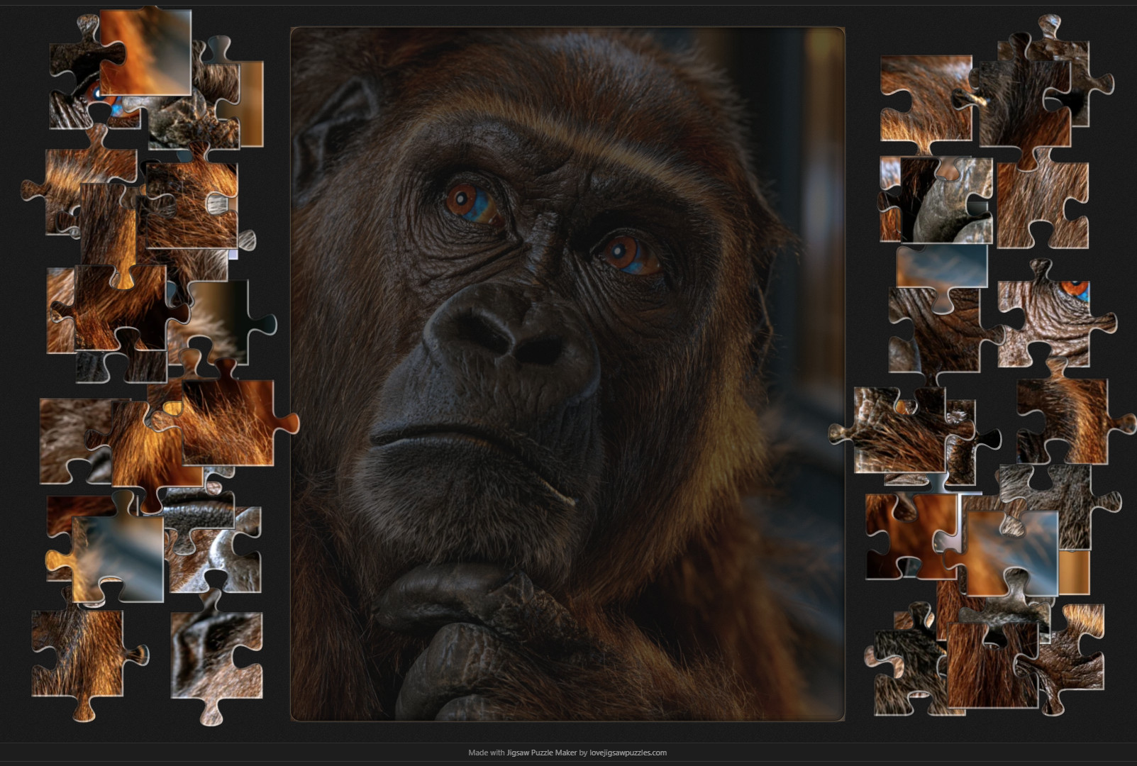 A wildlife photo being assembled as a jigsaw puzzle in Jigsaw Puzzle Maker, with pieces in trays either side