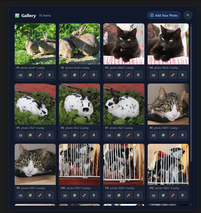 A gallery view in Jigsaw Puzzle Maker showing a grid of photo puzzles ready to play