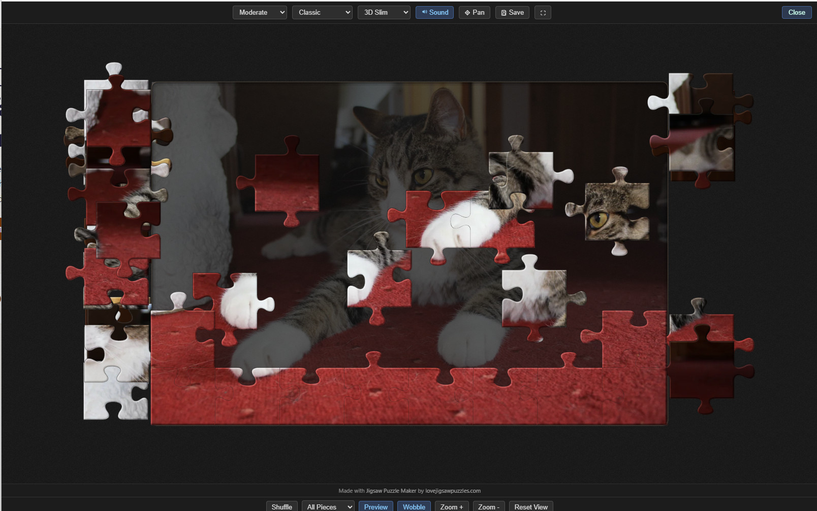 A cat photo being assembled as a jigsaw puzzle in Jigsaw Puzzle Maker